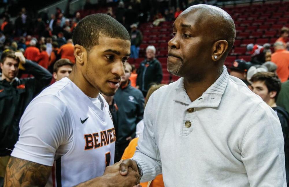 放与细分里 放与细分里