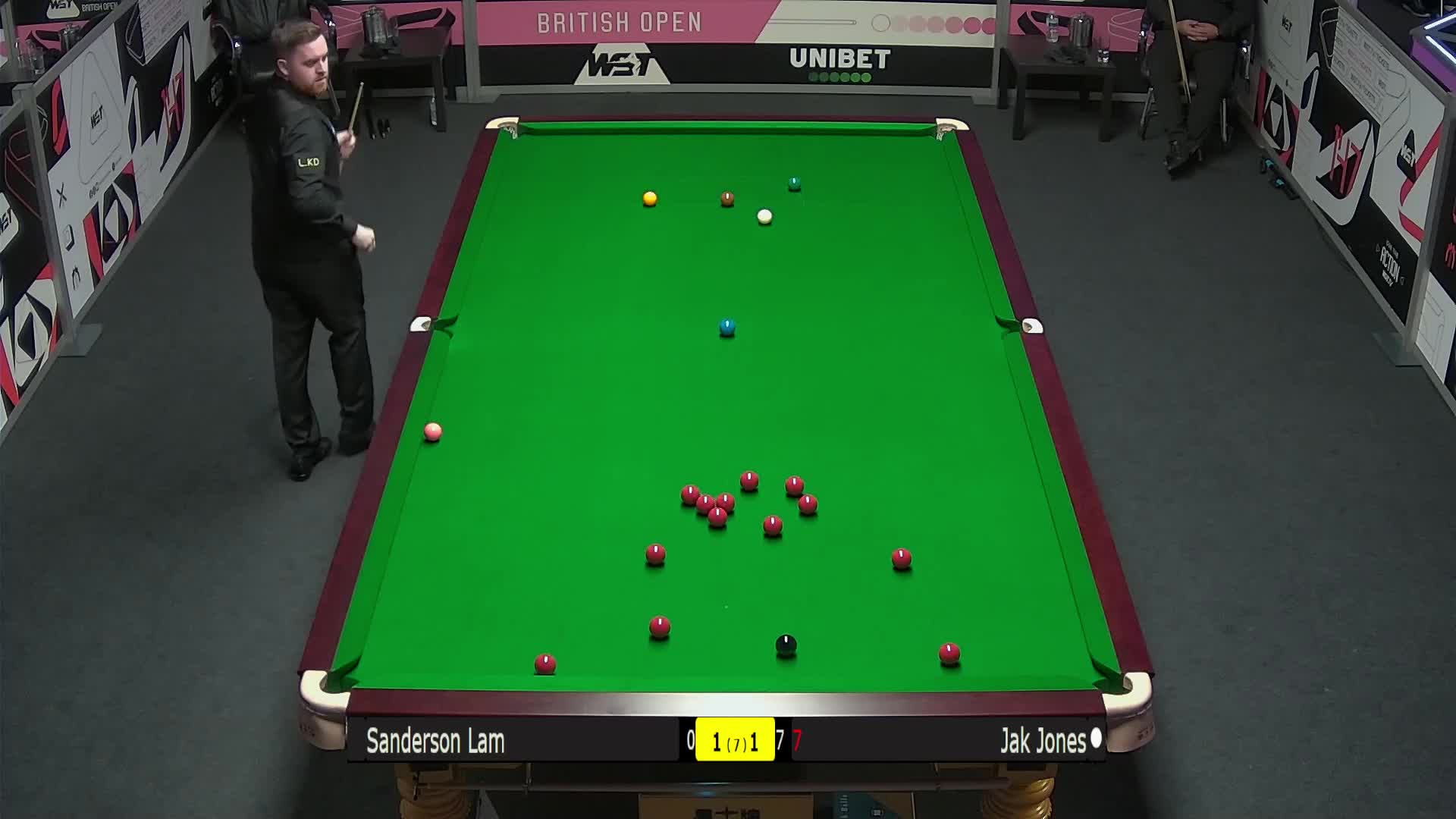 内容可陪伴 内容可陪伴